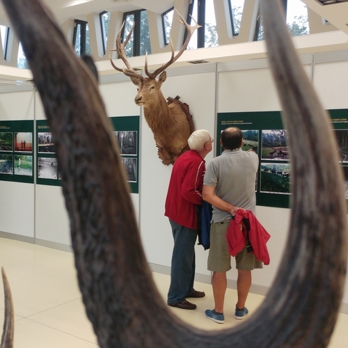 Gemenc természeti napok