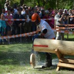 Stihl_Gemenc_04