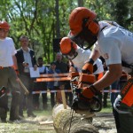 Stihl_Gemenc_05