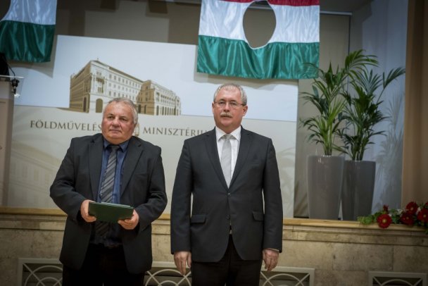 Kovács Sanyi