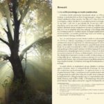 konyvbe_1803_002