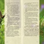konyvbe_1803_004