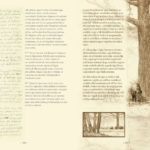 konyvbe_1803_011