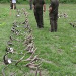 Ag_mustra_1804_07