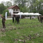 Ag_mustra_1804_13