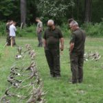 Ag_mustra_6x5_3