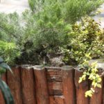 kacs_1804_04