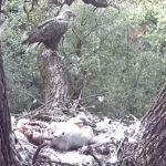 sas_180606_09
