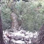 sas_180606_10