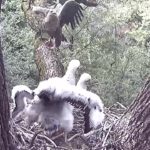 sas_180606_12