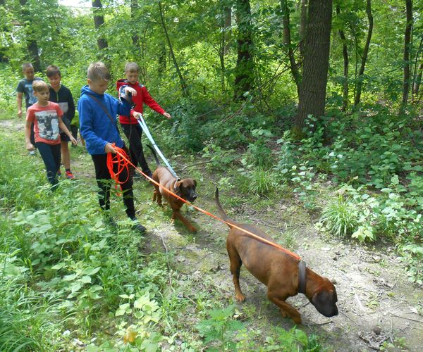 Nyomkereső táborozók