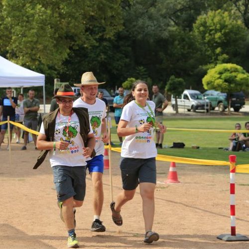 Erdészeti és Faipari Sportnapok