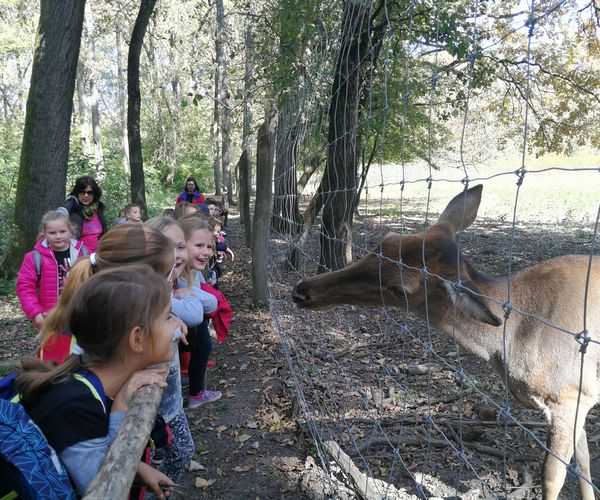 Erdők Hete Gemencen
