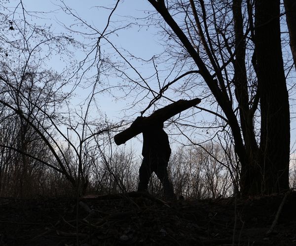 Tűzifa gyűjtés Gemencen