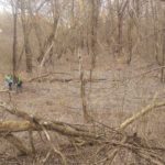 Szemszed_Gem_1903_07