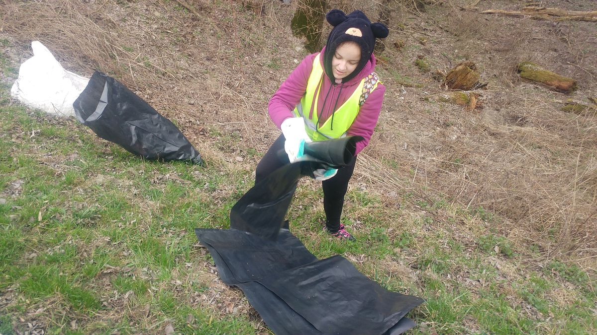 Tél végi erdőtakarítás