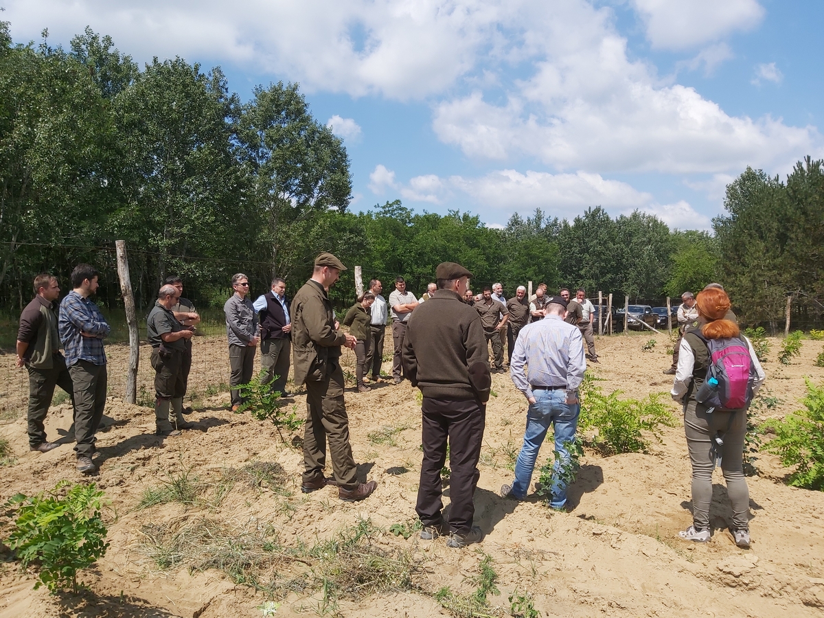 MTA_PAB_2007_01 MTA_PAB_2007_01