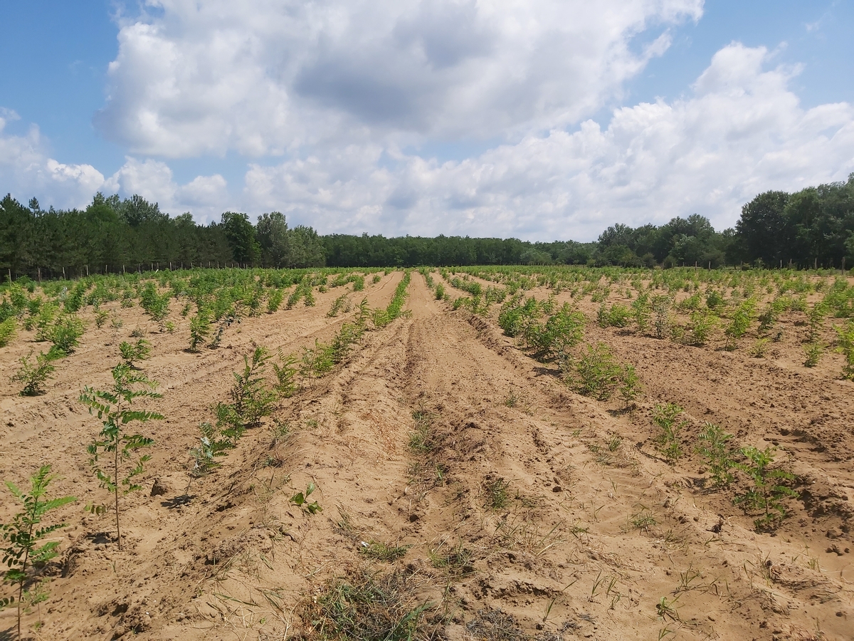 MTA_PAB_2007_03 MTA_PAB_2007_03