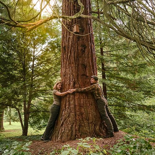 Minden elsős hallgatója után fát ültet a Soproni Egyetem