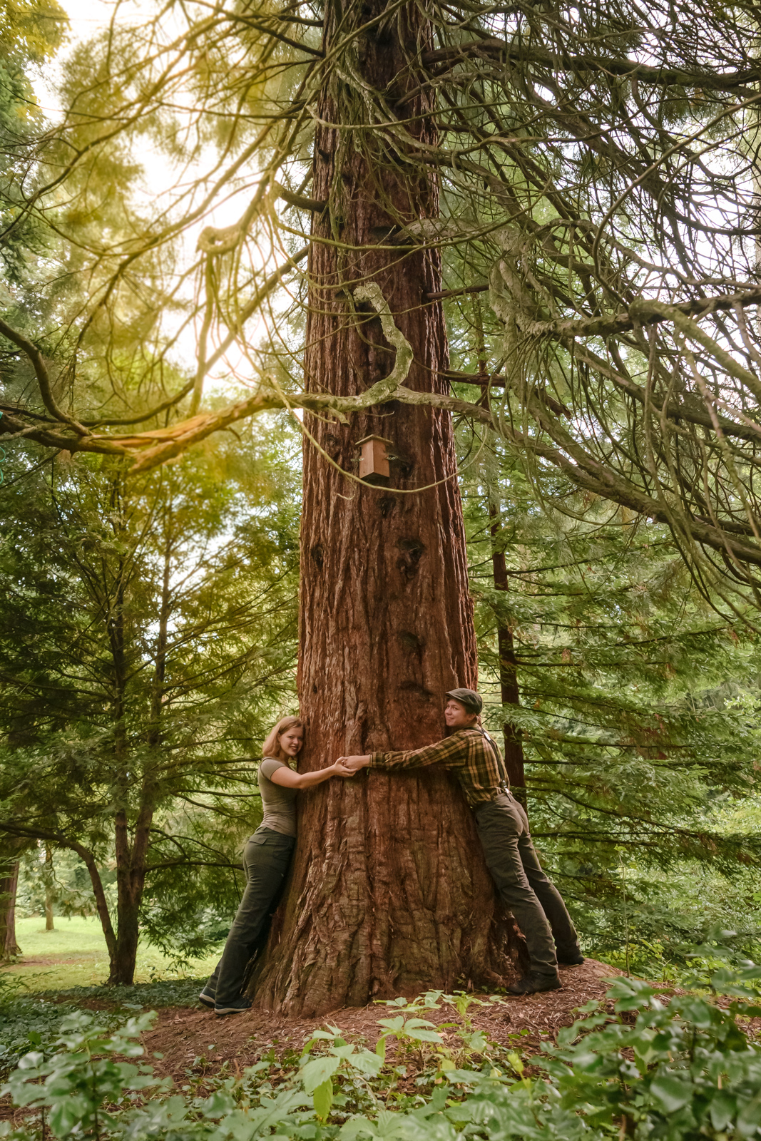 soproni_egyetem_20210120d