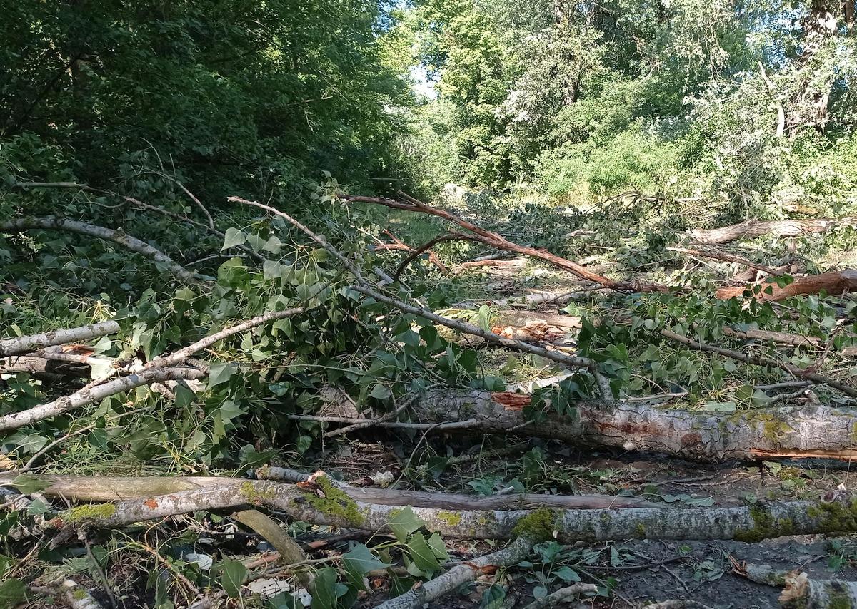 Cserta_vih_2106_01 Cserta_vih_2106_01