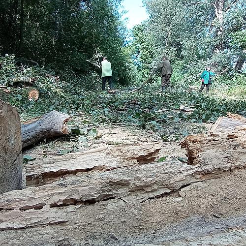 Viharkár elhárítás