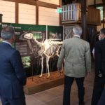 Pavilon_avat_210825_021