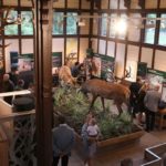 Pavilon_avat_210825_022