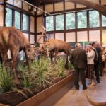 Pavilon_avat_210825_025