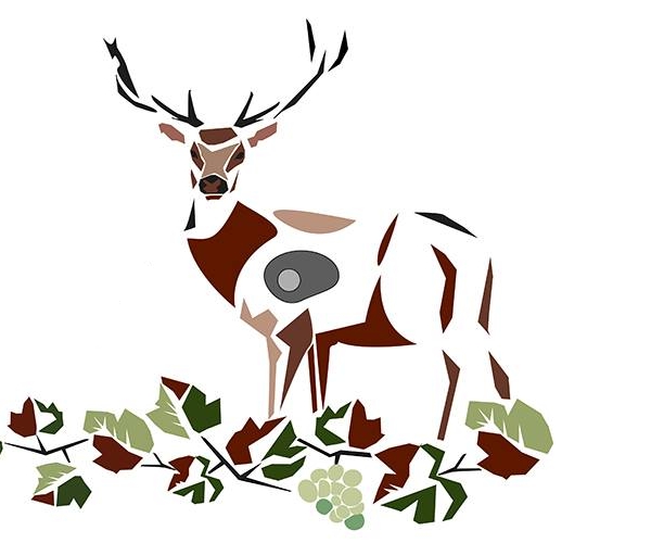 Íjász VB Sötétvölgyben