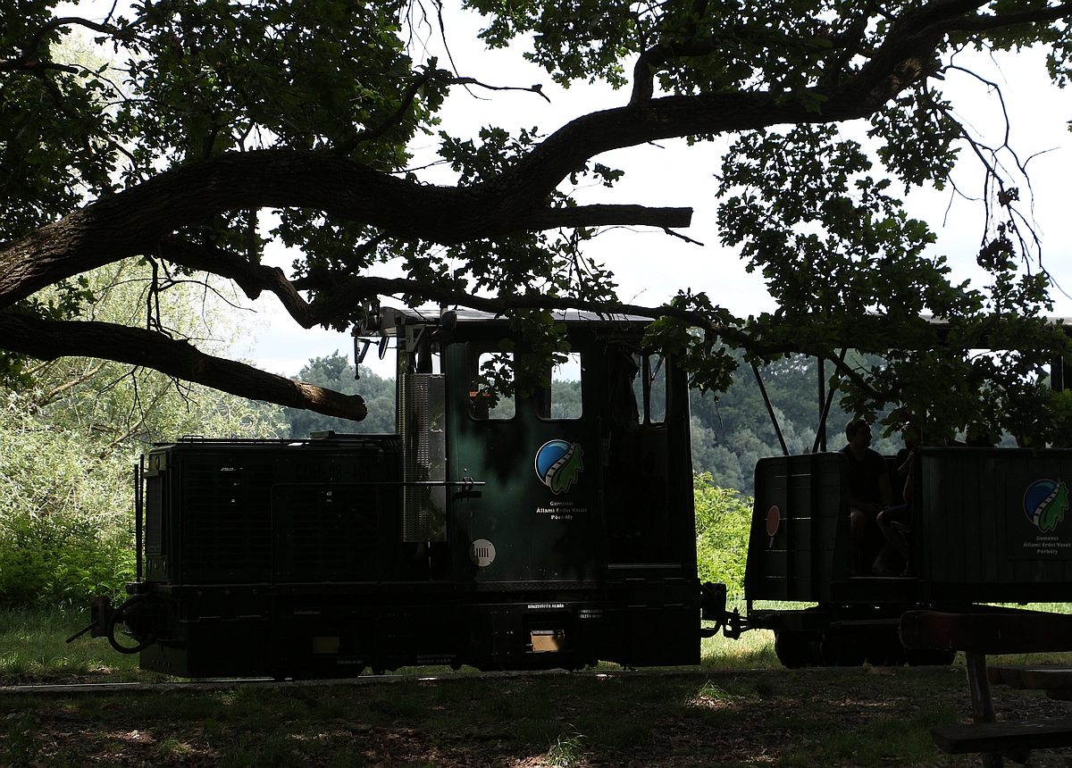 Mozdonyvezetőt keresünk!