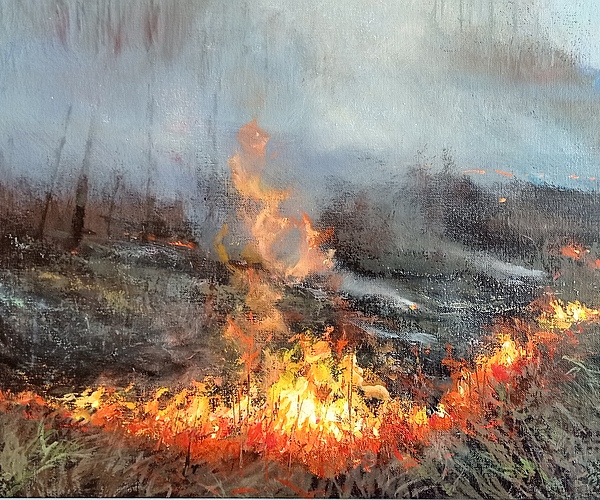 Tűzgyújtási tilalom Bács-Kiskun vármegyében