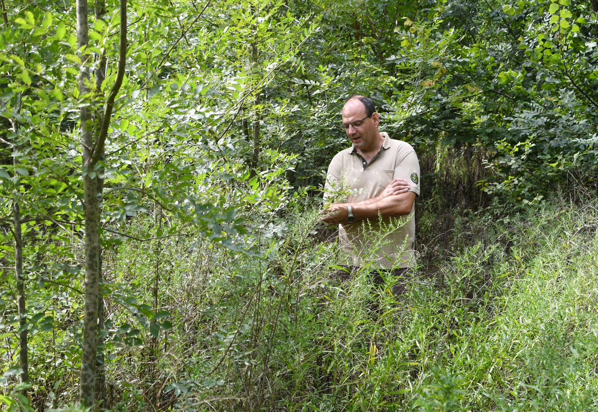 FodermayerVilmos_2208_04w