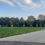 VárosFa_Kal_2210_08