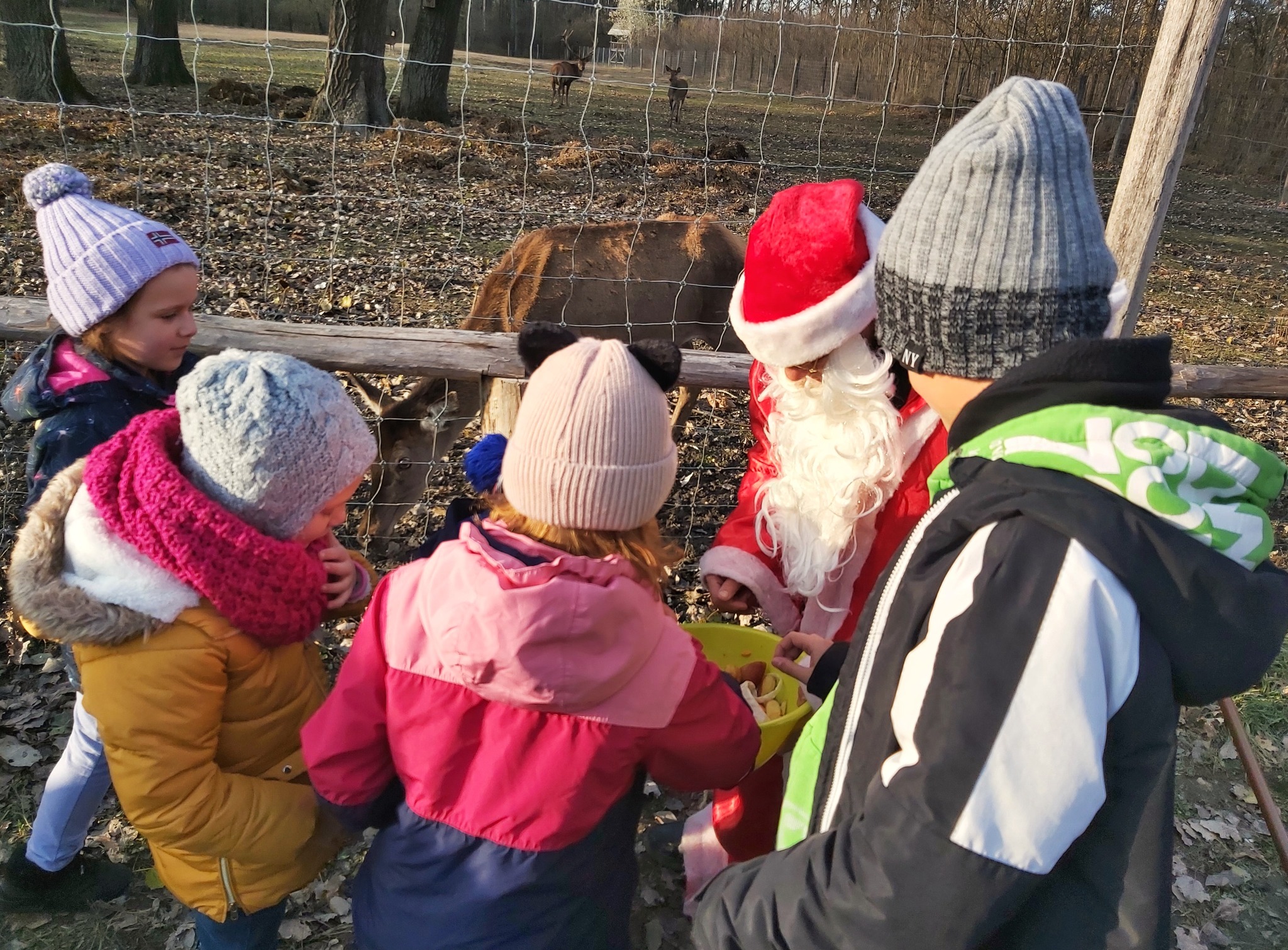A szarvasok is kaptak ajándékot Pörbölyön