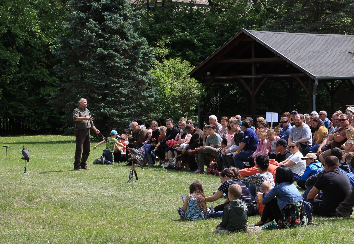 ÉledőGemenc_240501_25_s