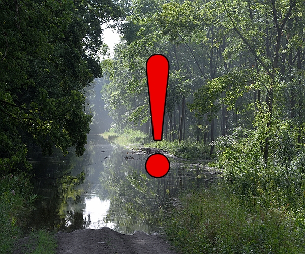 Erdőlátogatási tilalom a hullámtéren