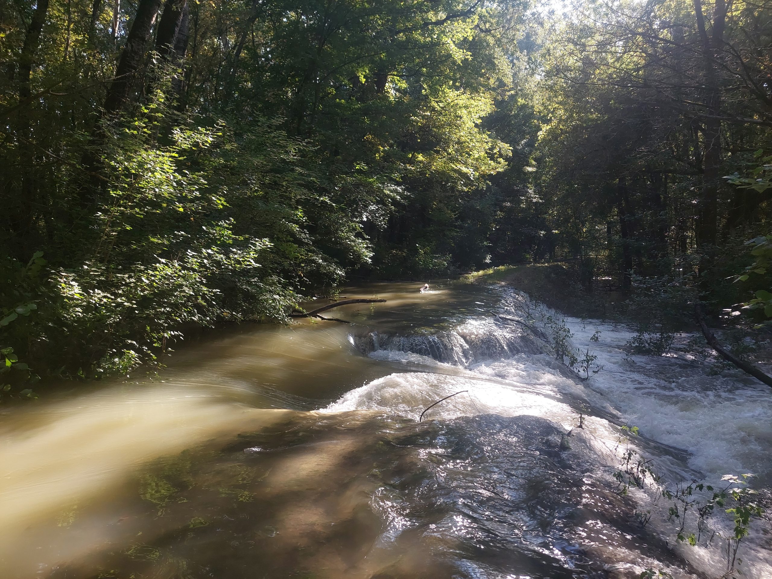 ÚJRA VÍZ ALATT A GEMENC