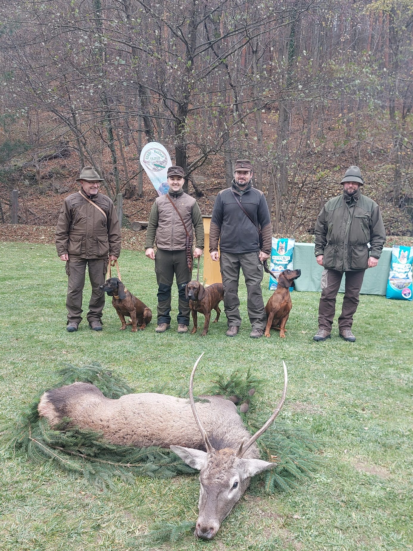 SzD és KG SzD és KG