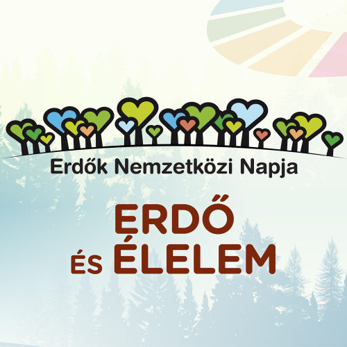 Az Erdők Nemzetközi Napja