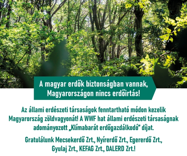 Az erdők megőrzése, gyarapítása és megújítása a cél
