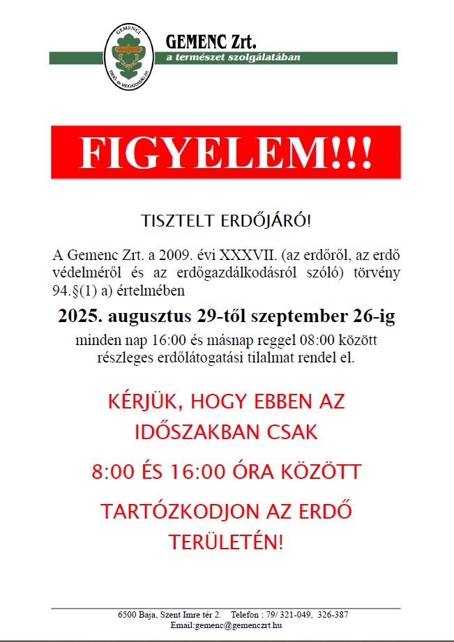Erdőlátogatás