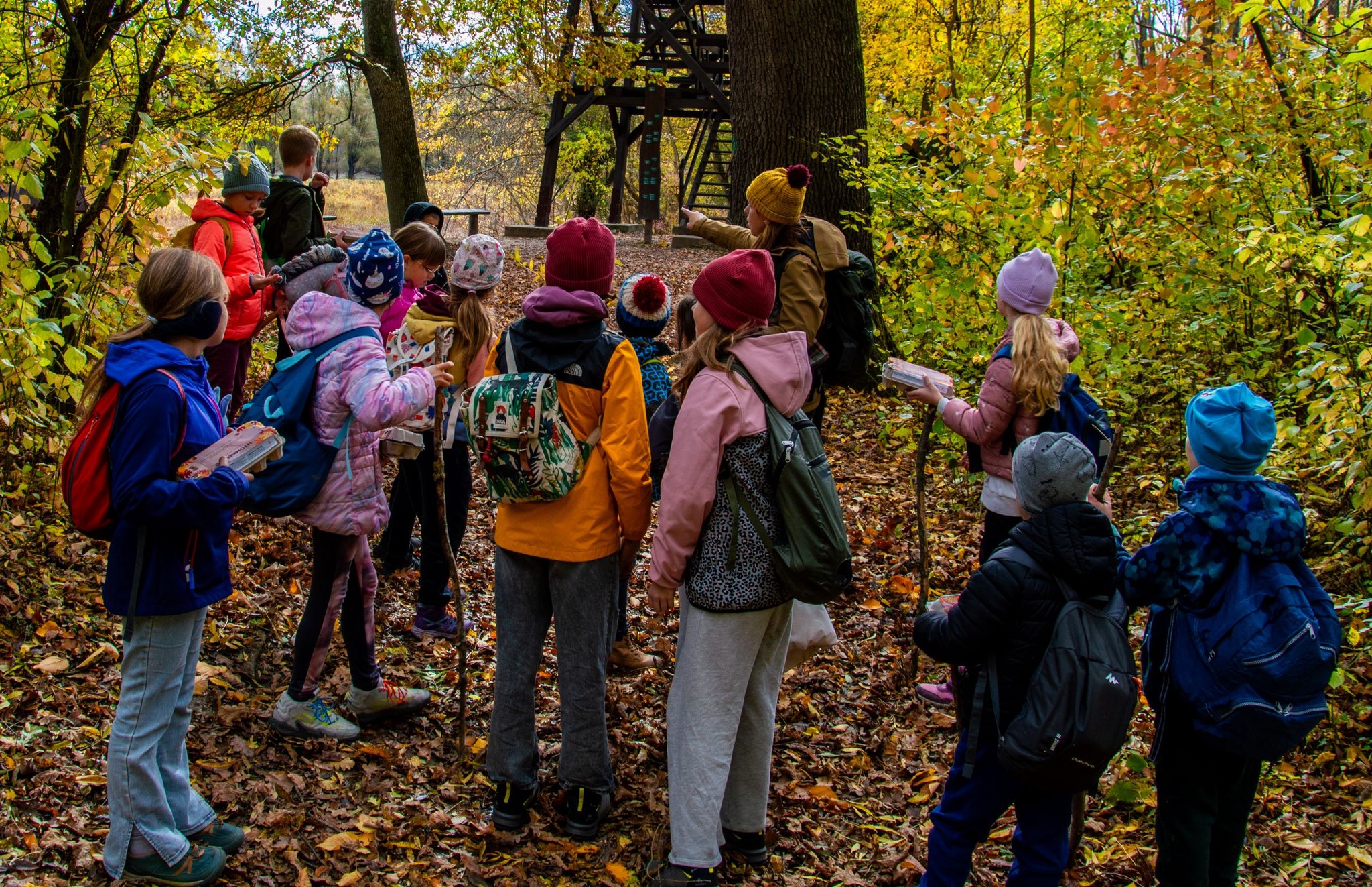 Napközi15 Napközi15