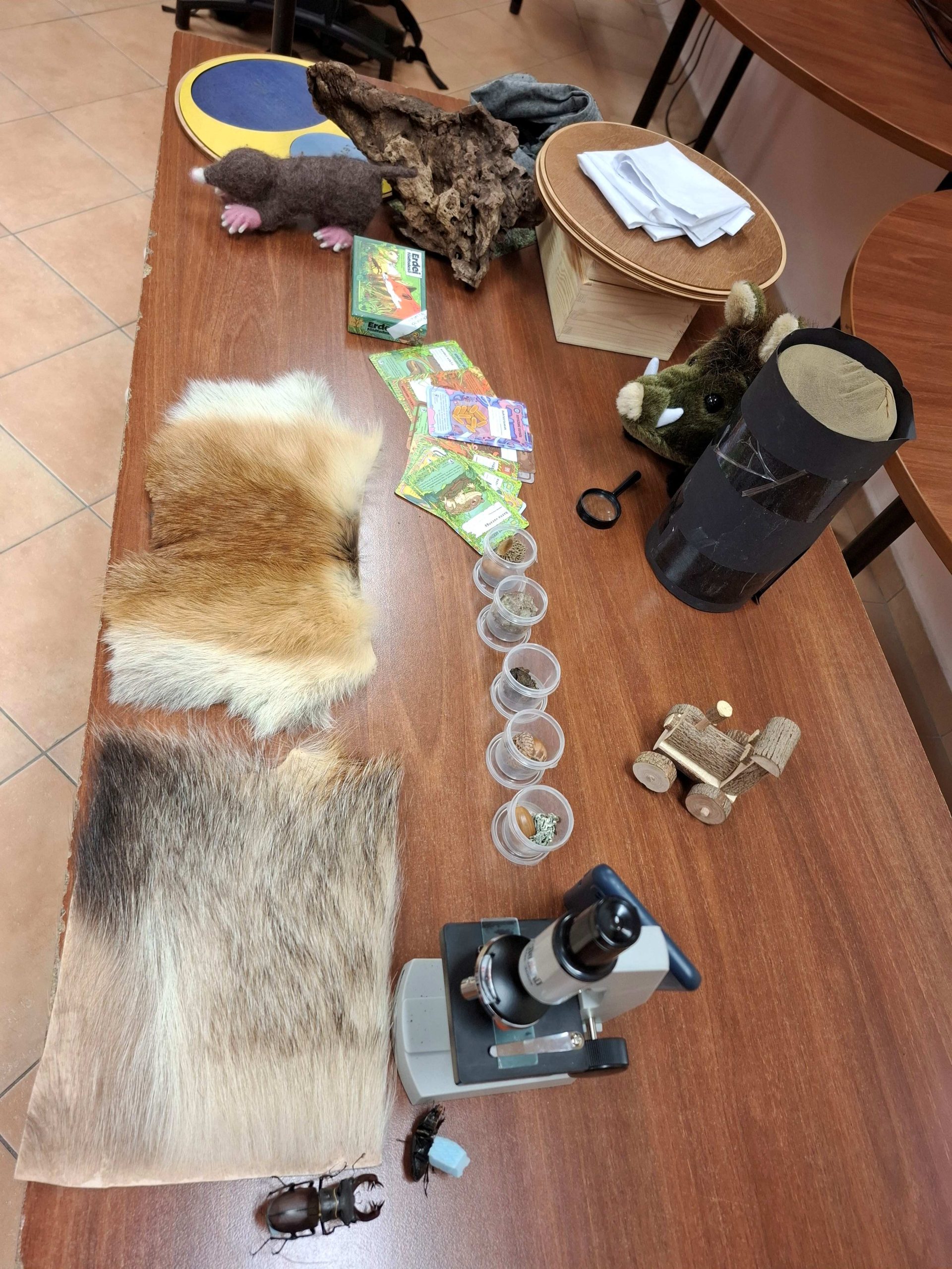 20250403_092805 20250403_092805