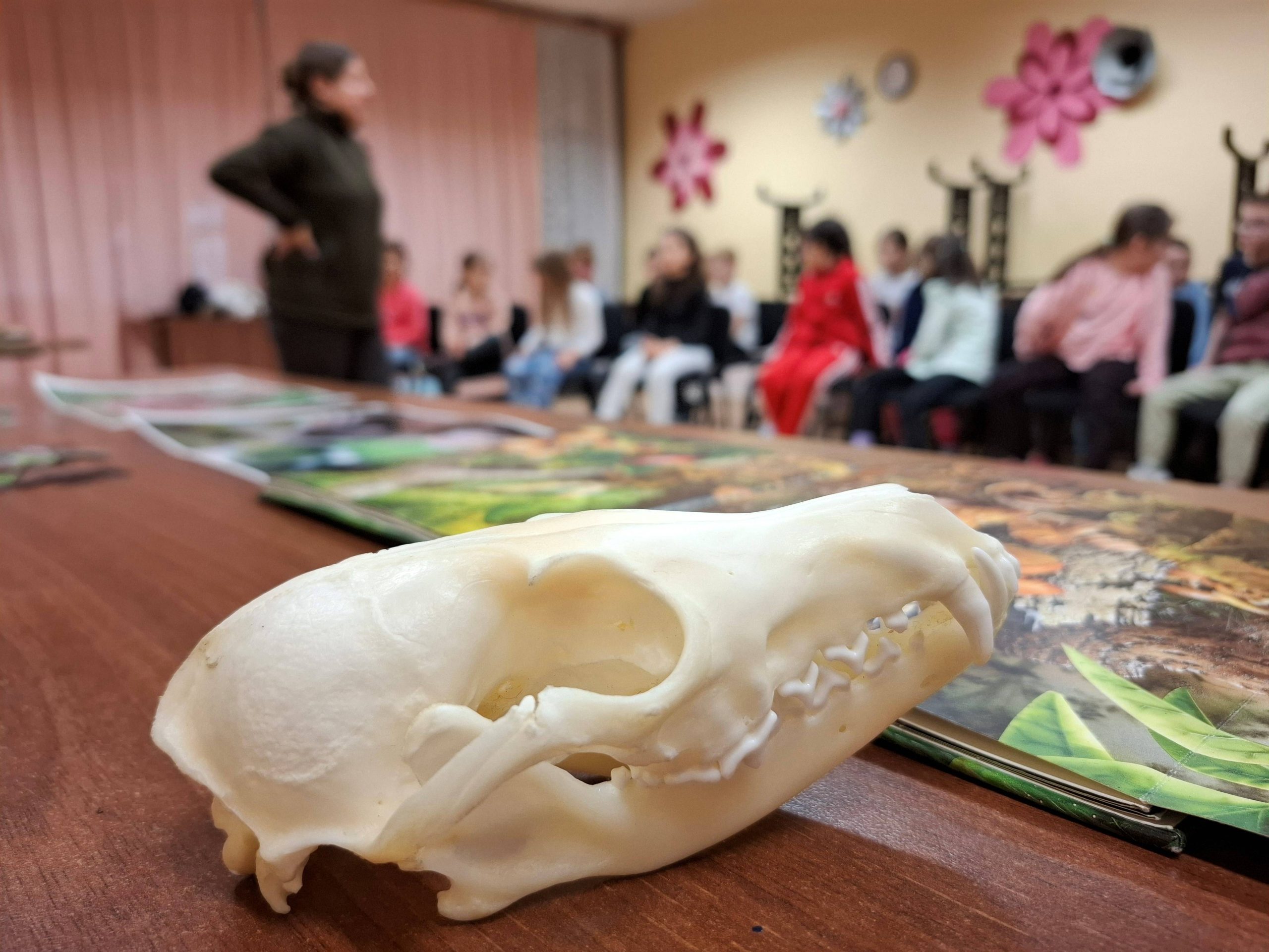 20250403_093646 20250403_093646