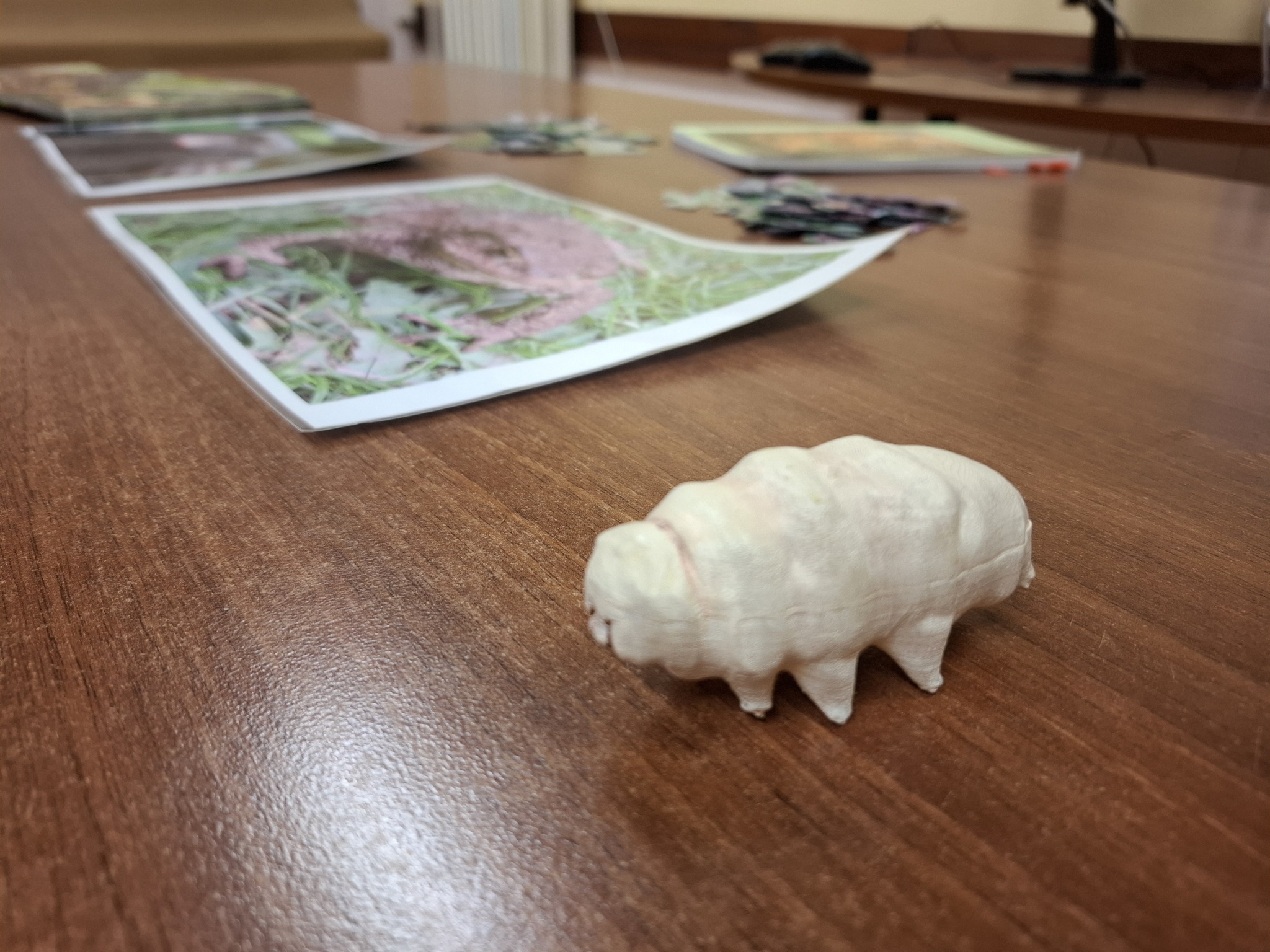 Iskolában_az_erdő3 Iskolában_az_erdő3