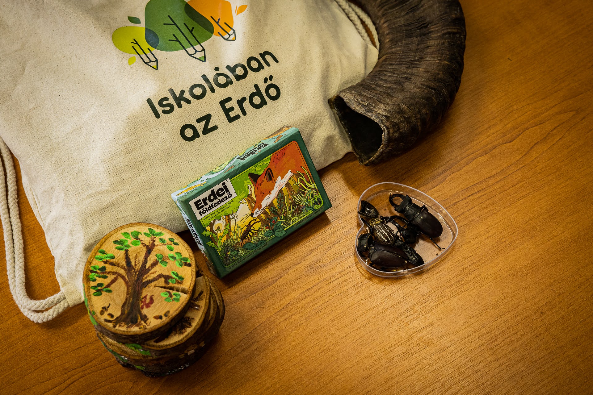 Indul a regisztráció a 2026-os Iskolában az Erdő Programra