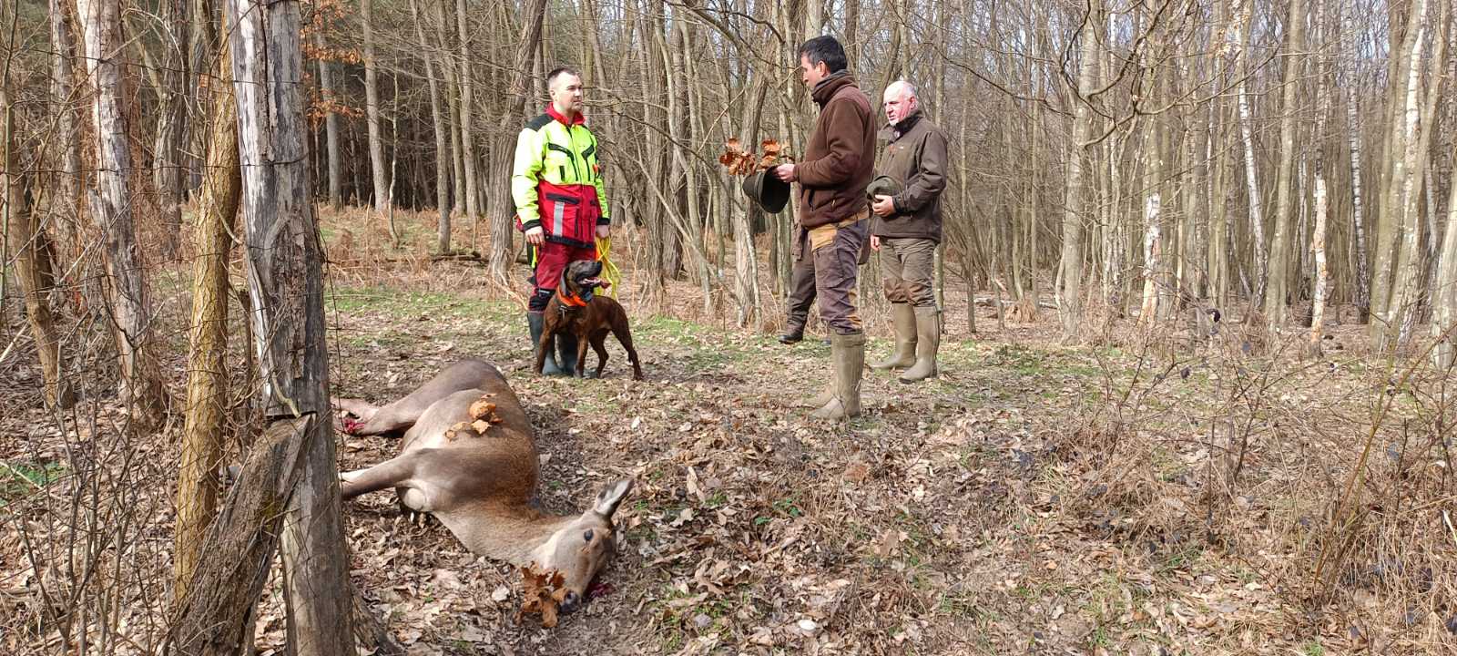 1000052333 1000052333