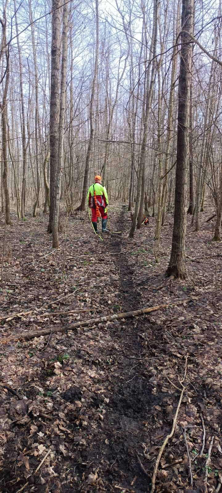 1000052334 1000052334