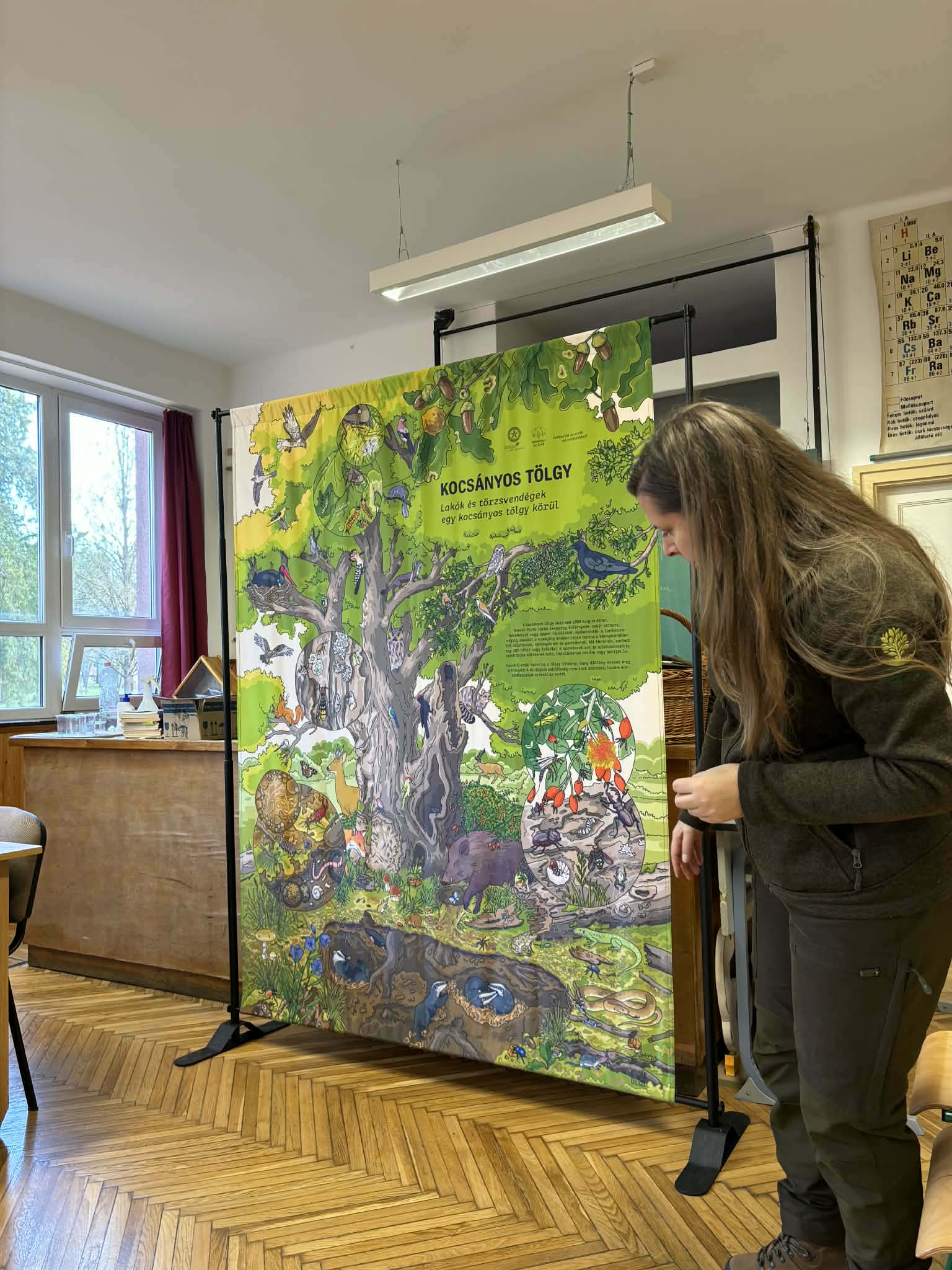 657281266_2961126207612246_1150480391597779628_n